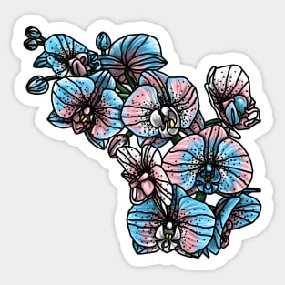 Trans Orchids Sticker